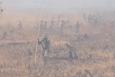 Astaga... Sudah 2 juta Hektar Hutan dan Lahan Indonesia Terbakar - JPNN.com