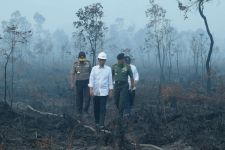 Sinar Mas Harus Bertanggung Jawab karena Ikut Bakar Lahan, BNPB: Bayar Biaya Pesawat! - JPNN.com