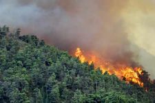 Metode Afrika Selatan Ternyata Ampuh Padamkan Kebakaran Hutan dan Lahan - JPNN.com