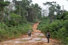 Yayasan Ini Dibentuk untuk Lindungi Hutan Tropis di Indonesia - JPNN.com