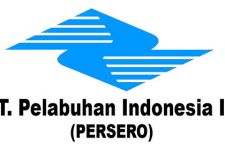 Pelindo Kebut Fasilitas Curah Kering - JPNN.com