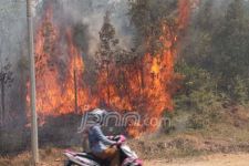 GAWAT! Titik Api Karhutla di Daerah Ini Meningkat Tajam - JPNN.com