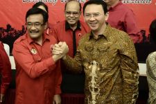 Inikah Target Besar PDIP Pertahankan Ahok-Djarot - JPNN.com