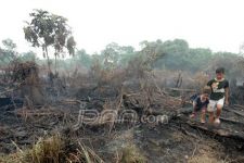 Tolong Jangan Istimewakan Perusahaan yang Rusak Hutan - JPNN.com