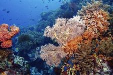 Sisihkan 10 Persen Panenan Ditanam di Laut - JPNN.com