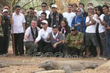 Pulau Komodo Tetap Masuk 10 Besar Keajaiban Dunia - JPNN.com