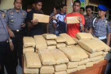 Bawa Ganja 63 Kilogram, Mahasiswa Aceh Ditangkap di Jambi - JPNN.com