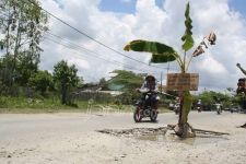 Warga Tanami Pohon Pisang di Jalan Berlubang - JPNN.com