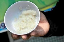 Tiga Dampak Ngeri Makan Nasi Beras Plastik - JPNN.com