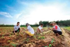 Kaltara, Provinsi Baru yang Digenjot Program Transmigrasi - JPNN.com