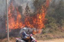 Zero Burning Harus Berlaku untuk Korporasi dan Petani - JPNN.com