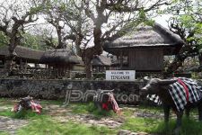 Tenganan Pegrigsingan, Masyarakat Tanpa Kelas di Pulau Bali - JPNN.com