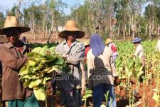 Kemitraan jadi Solusi Peningkatan Kesejahteraan Petani - JPNN.com