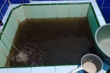 Warga Kota Kendari Keluhkan Air PDAM yang Menghitam dan Kotor - JPNN.com Sultra