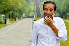 Presiden Jokowi Dijadwalkan Berkunjung ke Wakatobi Melepas Anak Penyu - JPNN.com Sultra