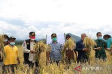 Pemkab Pesisir Selatan Mengaku Butuh Stimulan untuk Sektor Pertanian - JPNN.com Sumbar