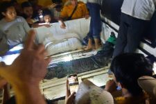 Evakuasi Buaya di Sungai Sapih Berlangsung 18 Jam, Ratusan Warga Menyaksikan - JPNN.com Sumbar