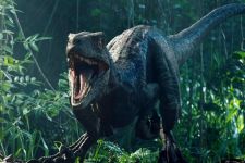 Jadwal Bioskop Besok: Jurassic World Dominion Bakal Jadi Seri Penutup - JPNN.com Sumbar