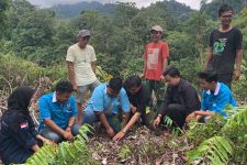 Hutan di Hulu Sungai Lubuk Hitam Gundul, Walhi Tanam Mahoni untuk Mengantisipasi Longsor - JPNN.com Sumbar