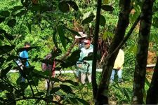 Hilang di Hutan yang Rawan Binatang Buas, Warga Kampung Barangai Ditemukan Lemas - JPNN.com Sumbar