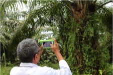 Unand Buat Sensor Pertanian Cerdas, Petani Kelapa Sawit Wajib Tahu - JPNN.com Sumbar