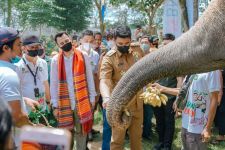Mantap Kali, Raffi Ahmad Pengin Bangun Wahana Salju di Medan Zoo: Warga Tak Perlu ke Luar Negeri - JPNN.com Sumut