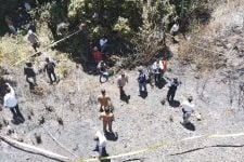 Puluhan Hektare Hutan di Kawasan Danau Toba Terbakar, Ada Dugaan Kesengajaan, Polisi Bergerak - JPNN.com Sumut