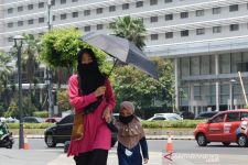 BMKG Prediksi Medan Dilanda Cuaca Panas, Warga Diminta Kurangi Aktivitas di Luar Rumah - JPNN.com Sumut