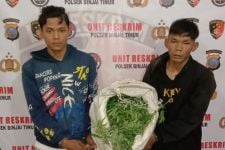 Dua Pria di Sumut Ini Jual Ganja ke Polisi, Lihat Wajah Lesunya saat Ditangkap - JPNN.com Sumut