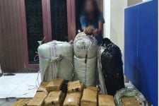 Pria Gondrong Ini Ditangkap Anak Buah Irjen Panca Bersama 200 Kg Ganja, Lihat Tuh - JPNN.com Sumut