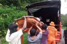 Tim SAR Evakuasi Jenazah Pria yang Hilang 21 Hari di Hutan Madina - JPNN.com Sumut
