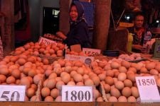 KPPU Kanwil I Sarankan Pemerintah Intervensi Harga Telur dan Daging Ayam Ras yang Melambung Tinggi - JPNN.com Sumut