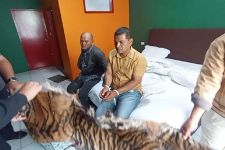 2 Penjual Kulit Harimau Ditangkap di Kota Padangsidempuan, Lihat Tuh Barang Buktinya!  - JPNN.com Sumut
