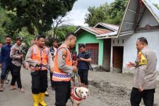 Polda Sumut Kerahkan Anjing Pelacak Cari 11 Korban Banjir Bandang Humbahas - JPNN.com Sumut