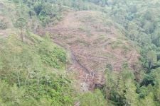 Hasil Investigasi KSPPM: Perambahan Hutan Lindung di Balik Banjir Bandang Humbang Hasundutan - JPNN.com Sumut