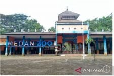 Nasib Medan Zoo: Pakan Ditopang PKBSI dan Masih Terutang Rp 270 Juta - JPNN.com Sumut