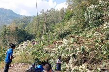 Pohon Tumbang dan Tutup Jalur Wisata Parapat, Polisi Turun, Alhamdulillah Lancar - JPNN.com Sumut
