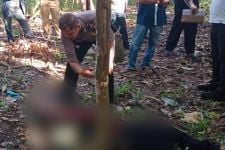 Seorang Laki-laki di Simalungun Ditemukan Tewas di Perladangan Kopi - JPNN.com Sumut