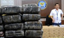 BNN Aceh Ekspose Puluhan Kilogram Daun Ganja Siap Edar