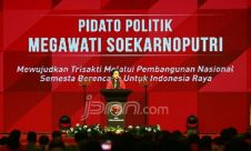 Ketua Umum PIDP Megawati Soekarnoputri