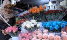 Jelang Hari Valentine, Penjualan Bunga Meningkat