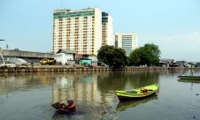 Cacing Sutra Untuk Pakan Ikan