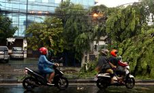 Kabel Listrik Terbakar Akibat Pohon Tumbang