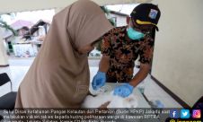 Sudin KPKP Menggelar Vaksin Rabies Kucing