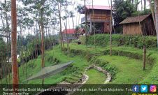 Wow, Dodit Miliki Rumah di Tengah Hutan