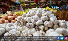 Stok Minim, Harga Bawang Putih Meroket