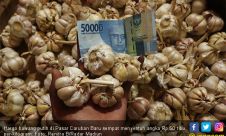 Harga Bawang Putih Hingga Kini Masih Tinggi