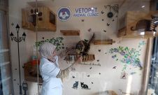 Vetopet Animal Clinic