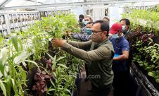 Dorong Sektor Pertanian di Masa Pandemi Melalui Bogor Berkebun