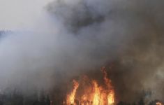 Dunia Hari Ini: Israel Berlakukan Keadaan Darurat Akibat Kebakaran Hutan - JPNN.com